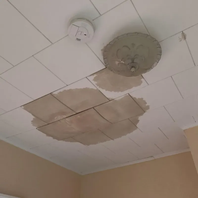 Ceiling Water Damage Repair in Scotts Bluff County, NE